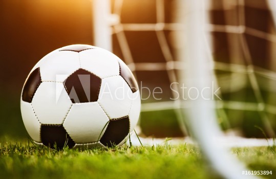 Bild på Closeup soccer ball on green grass